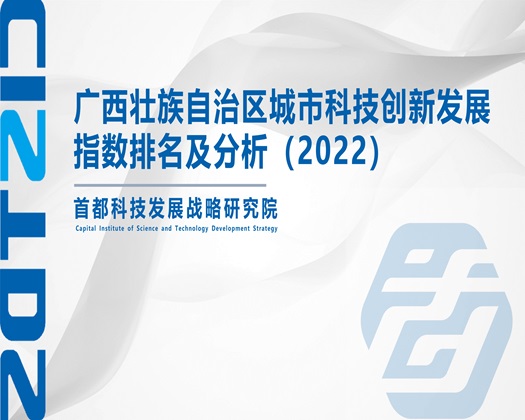 插屄视频免费观看【成果发布】广西壮族自治区城市科技创新发展指数排名及分析（2022）